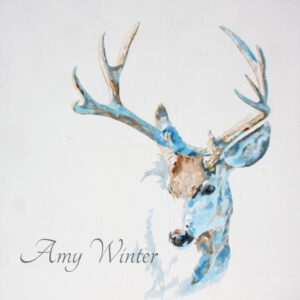 mule deer buck portrait