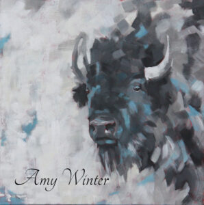 buffalo portrait