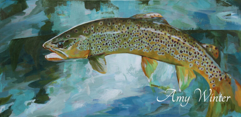 rainbow trout brown trout leaping