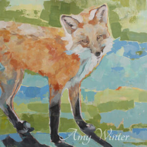 young fox in bright sun