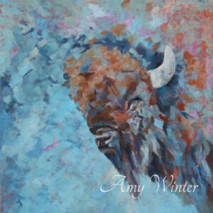 buffalo portrait