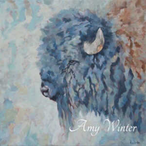buffalo portrait