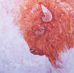 buffalo head portrait
