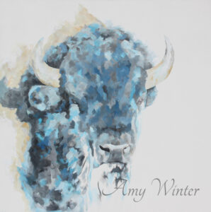 buffalo portrait