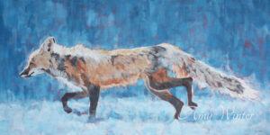 fox running across a field