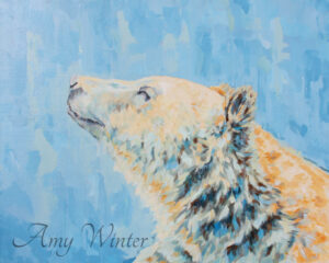 bear sniffing the wind