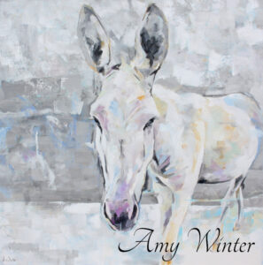 a white mule walking toward the viewer