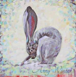 Jack rabbit cleaning itselt