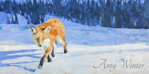 fox walking on snow looking at the viewer
