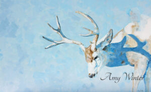 mule deer buck