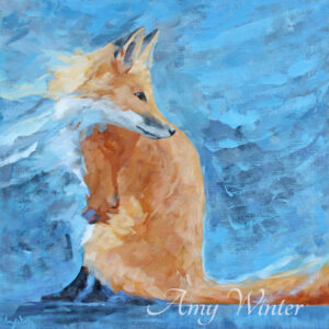 orange fox looking over its shoulder set against a blue background
