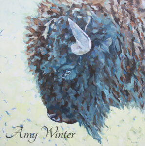 bison portrait