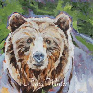 grizzly bear portrait