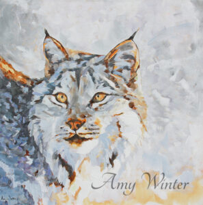 bobcat portrait