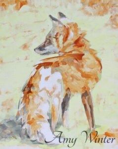 young fox watching something