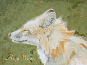 fox facing the wind
