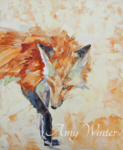 fox with head down