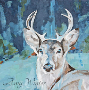 a mule deer stag